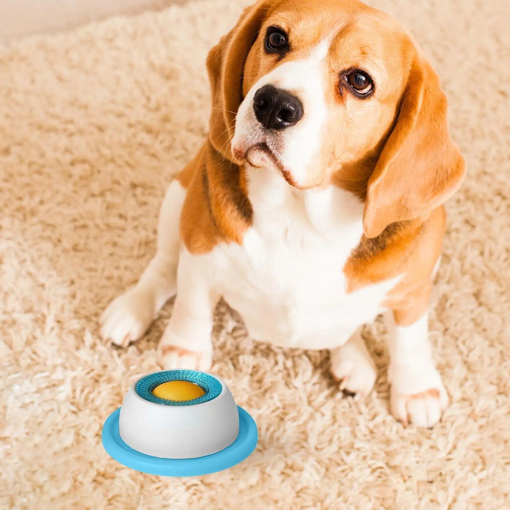 Dog Treat Puzzle Toy – Slow Feeder Bowl for Puppies and Cats